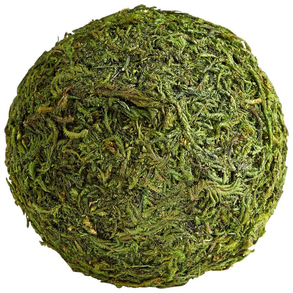 Cyan Design - Bermuda Filler in Green Moss - Small - 07298 veiw 1