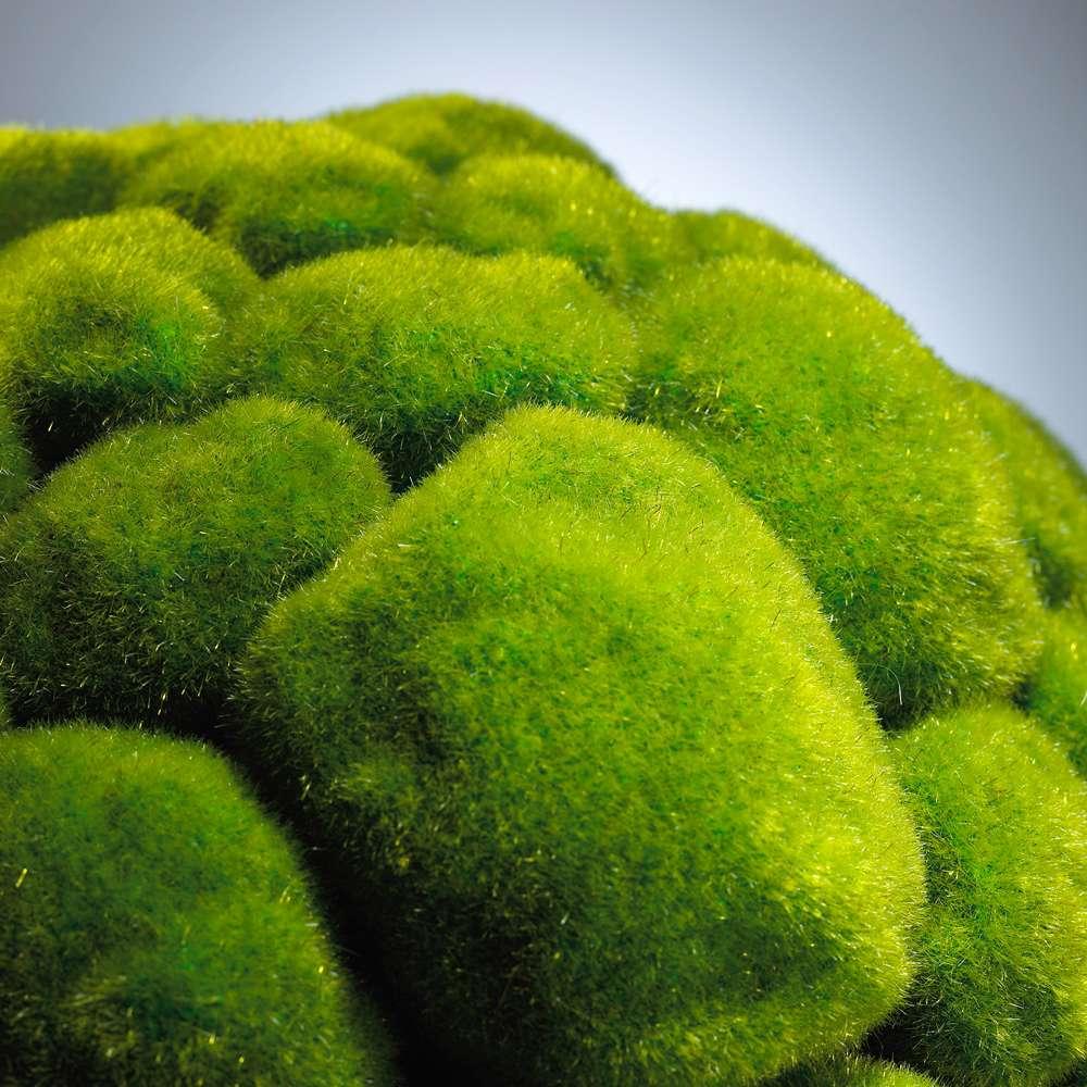 Cyan Design - Moss Sphere in Moss Green - Large - 02608 veiw 2
