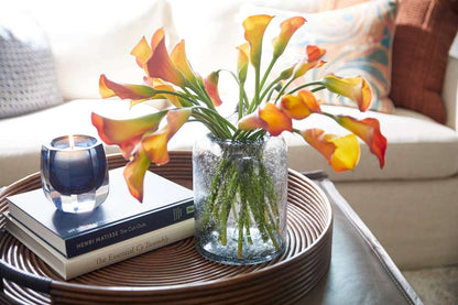 Cyan Design - Oxtail Vase in Clear - Small - 11085 veiw 4