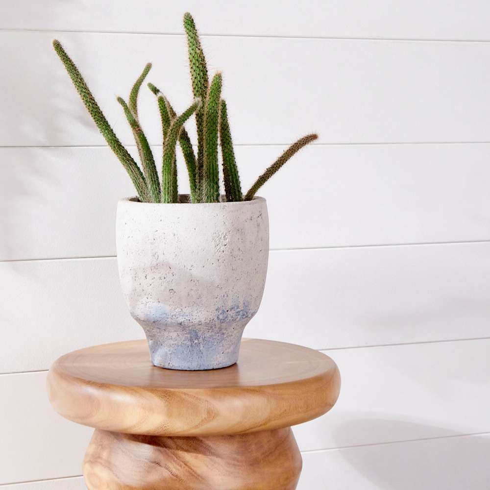 Cyan Design - Summer Swirl Stool in Walnut - 05984 veiw 3