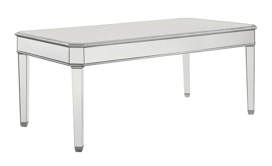 Elegant Furniture & Lighting - Contempo Rectangle Dining Table 60 in. x 32 in. x 30 in. in silver paint - MF6-1009S veiw 1