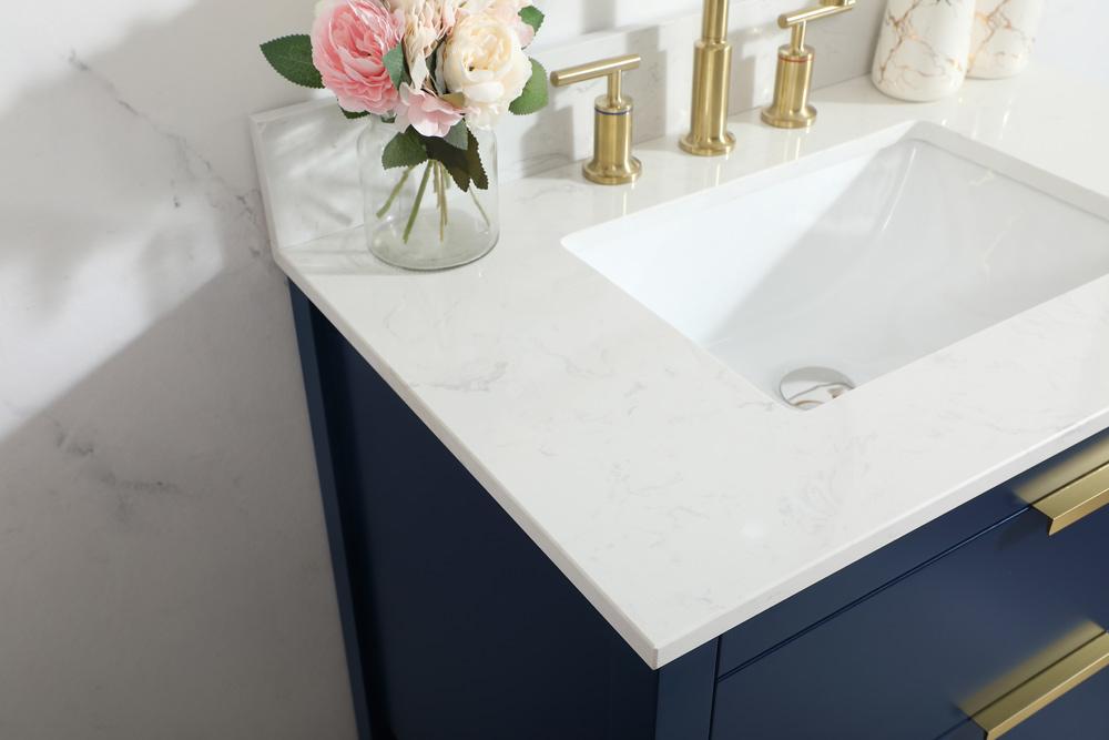 Elegant Furniture & Lighting - Larkin 30 inch Single bathroom vanity in blue with backsplash - VF19230BL-BS veiw 12