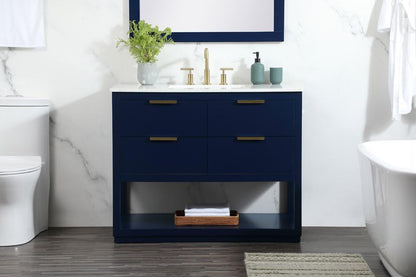 Elegant Furniture & Lighting - Larkin 42 inch Single bathroom vanity in blue - VF19242BL veiw 2