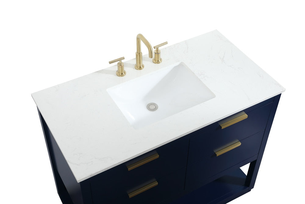 Elegant Furniture & Lighting - Larkin 42 inch Single bathroom vanity in blue - VF19242BL veiw 3
