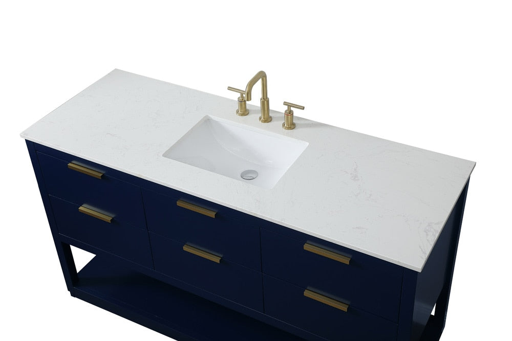 Elegant Furniture & Lighting - Larkin 60 inch Single bathroom vanity in blue - VF19260BL veiw 3
