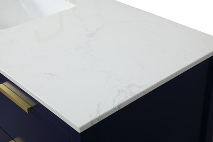 Elegant Furniture & Lighting - Larkin 60 inch Single bathroom vanity in blue - VF19260BL veiw 4