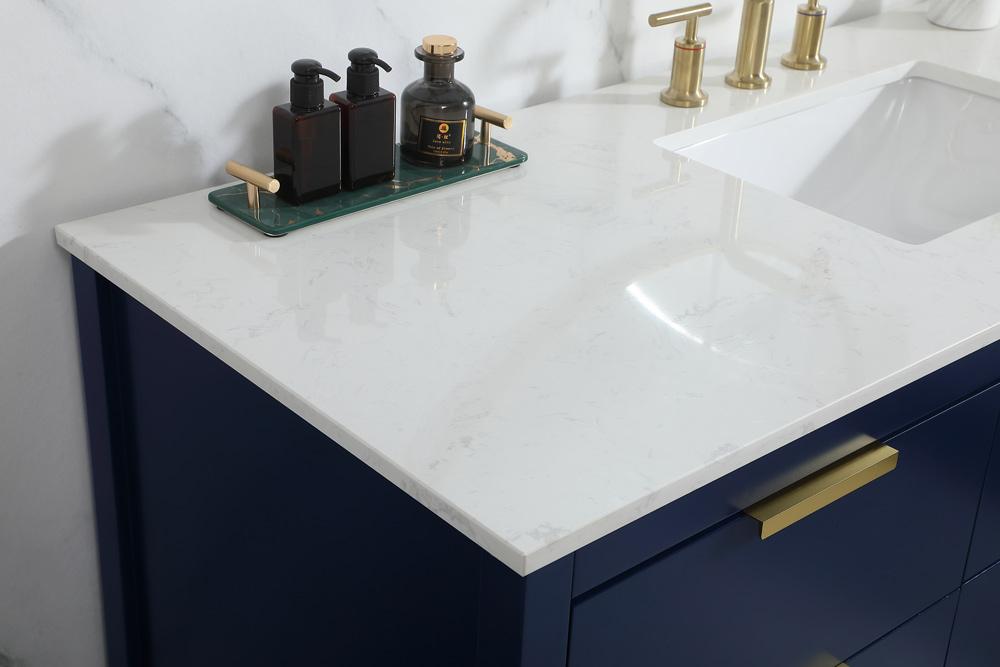 Elegant Furniture & Lighting - Larkin 60 inch Single bathroom vanity in blue - VF19260BL veiw 12