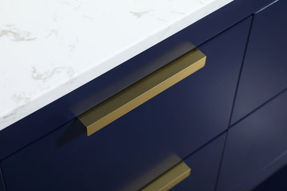 Elegant Furniture & Lighting - Larkin 60 inch Single bathroom vanity in blue - VF19260DBL veiw 5