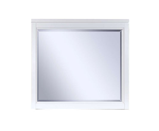Emery Park - Hyde Park Landscape Mirror in White Paint Finish - I32-463-WHT veiw 1