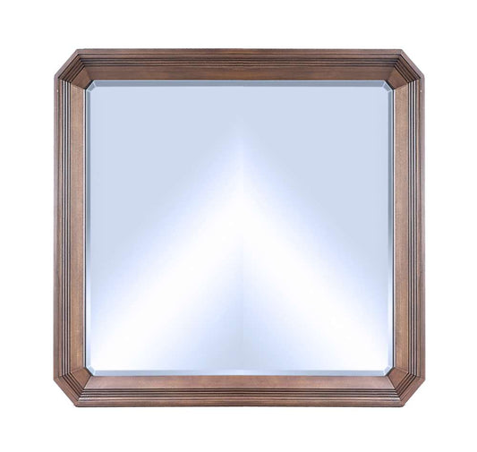 Emery Park - Thornton Mirror w/Jewelry Storage in Sienna Finish - I34-463-SNA view 1