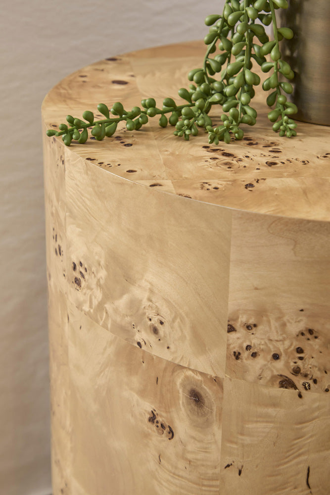 Essentials For Living - Bronze Bay Burl Accent Table - 5270.NAT-BRL view 6