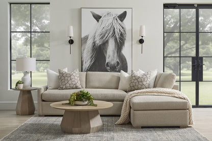 Essentials For Living - Stitch & Hand - Upholstery Clara 112" Slim Arm Sleeper Queen RF Sectional - 6620-RFS.LGJUT/NG view 11