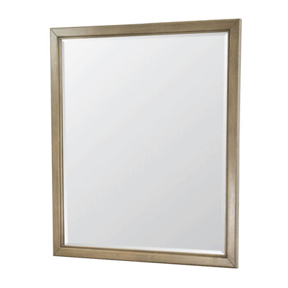 Finn & Louise - Rio Vista - Rectangular Dresser Mirror - Muted Earth Tones and Clay Finish - FL-B70038-EARTHCLAY view 1