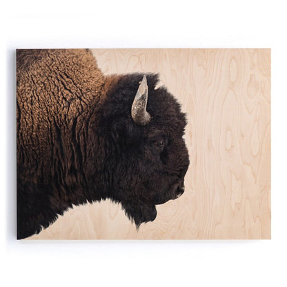 Four Hands - American Bison by Getty Images - Maple Box - ULOF-3620-6040 view 1