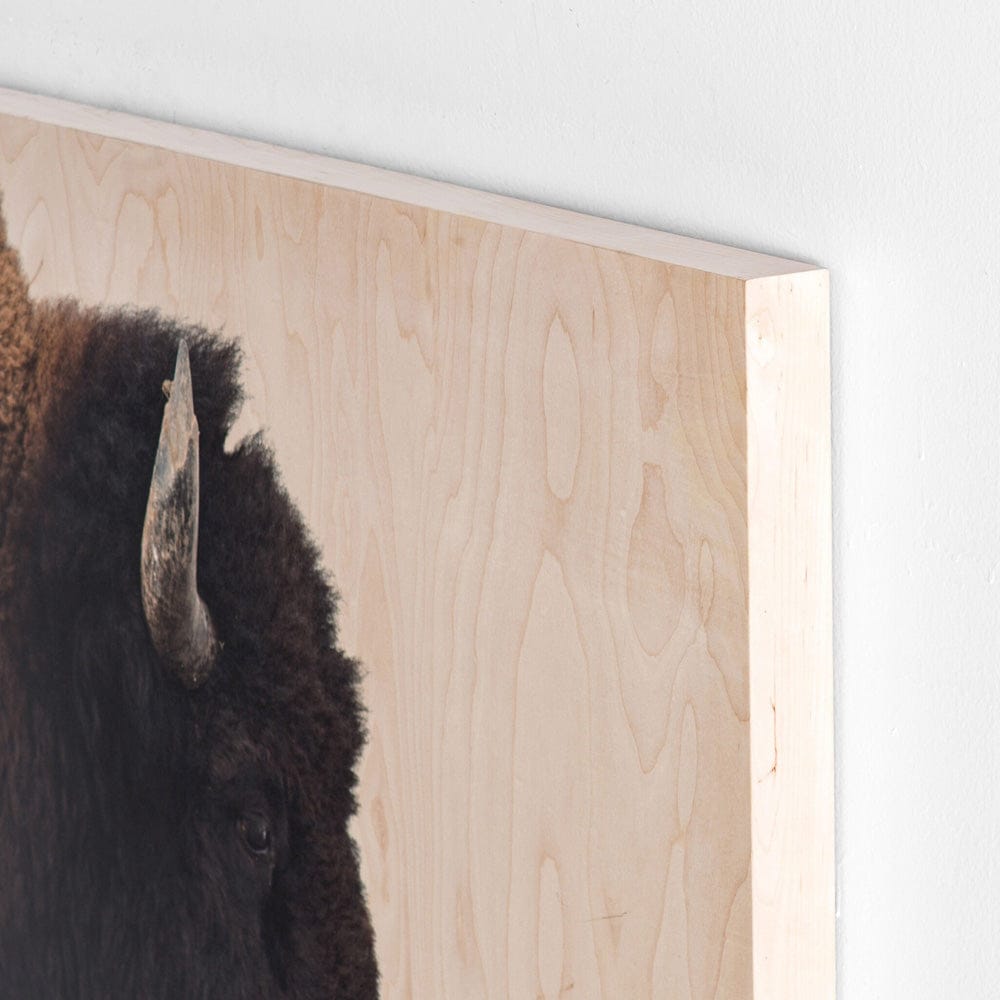 Four Hands - American Bison by Getty Images - Maple Box - ULOF-3620-6040 view 3