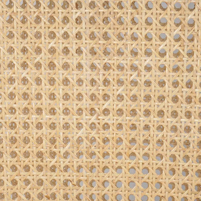 Four Hands - Antonia Cane Armless Counter Stool - Savile Flax - 229202-010 veiw 11