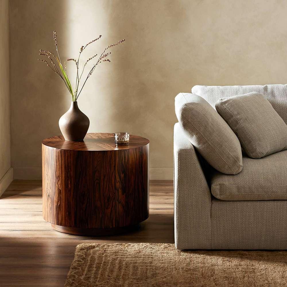 Four Hands - Bina - Renan End Table - Natural Morado Veneer - 242141-002 veiw 8