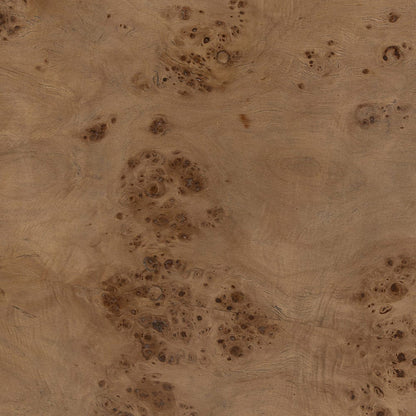 Four Hands - Caya Coffee Table - Caramel Burl - 243288-001 view 5