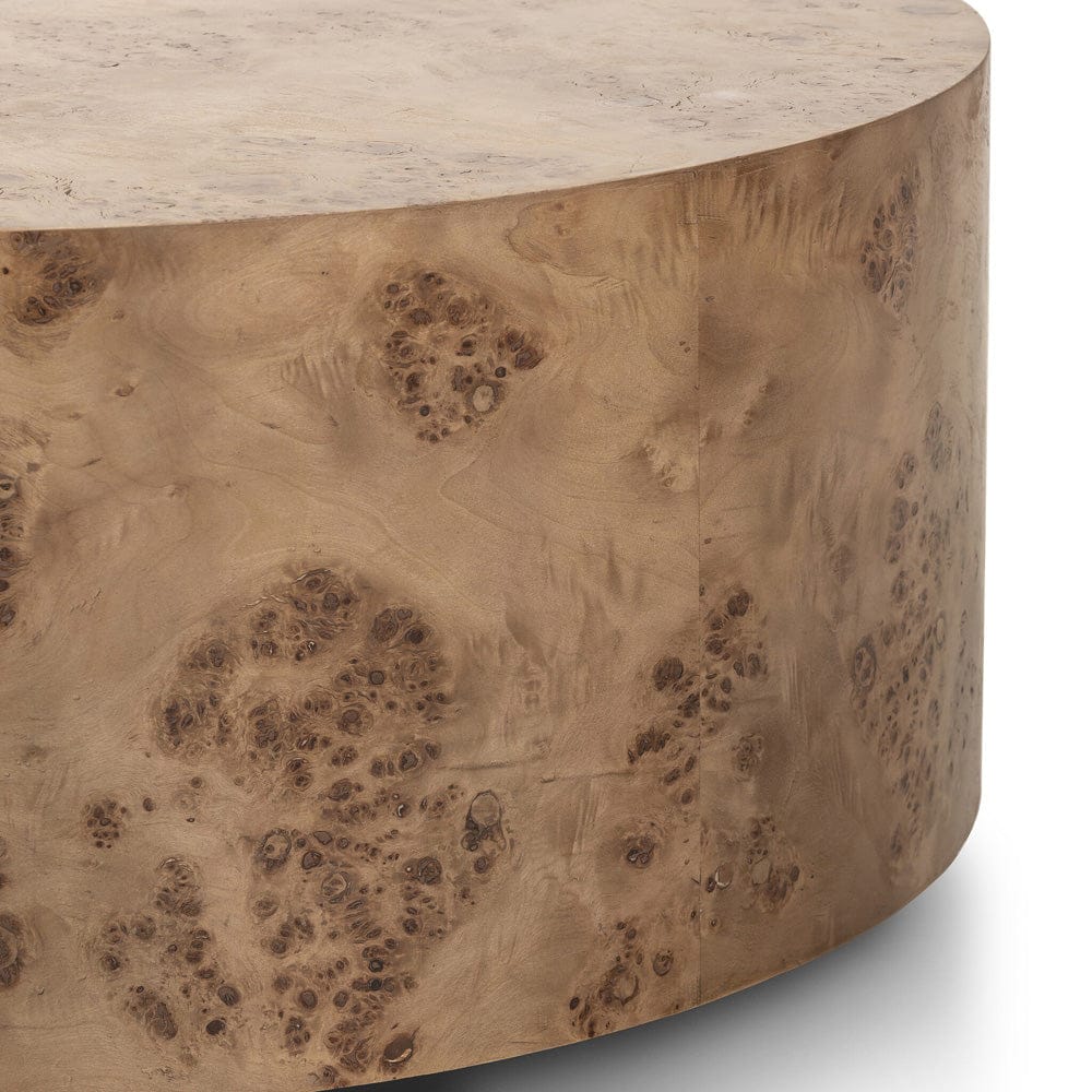 Four Hands - Caya Coffee Table - Caramel Burl - 243288-001 view 7
