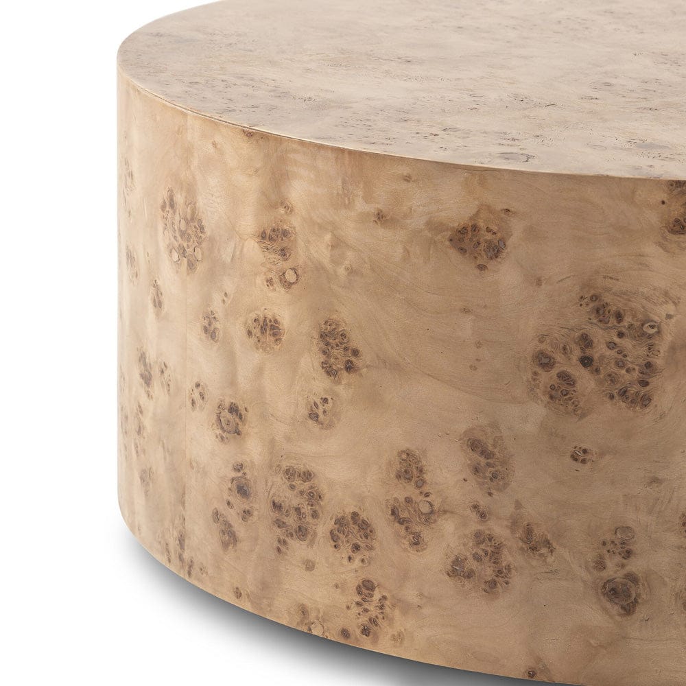 Four Hands - Caya Coffee Table - Caramel Burl - 243288-001 view 8