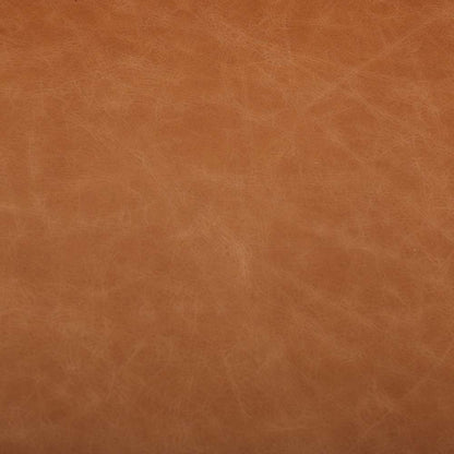 Four Hands - Diana Sofa - Sonoma Butterscotch - 228734-004 veiw 8