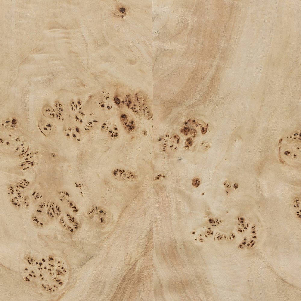 Four Hands - Elena Coffee Table - Light Burl - 246768-001 view 5