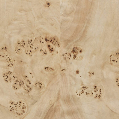 Four Hands - Elena Coffee Table - Light Burl - 246768-001 view 5