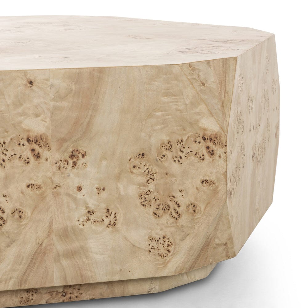 Four Hands - Elena Coffee Table - Light Burl - 246768-001 view 7
