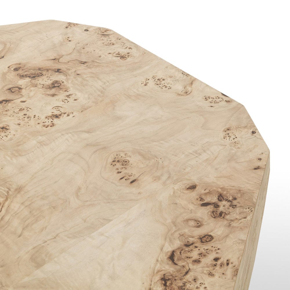 Four Hands - Elena Coffee Table - Light Burl - 246768-001 view 8