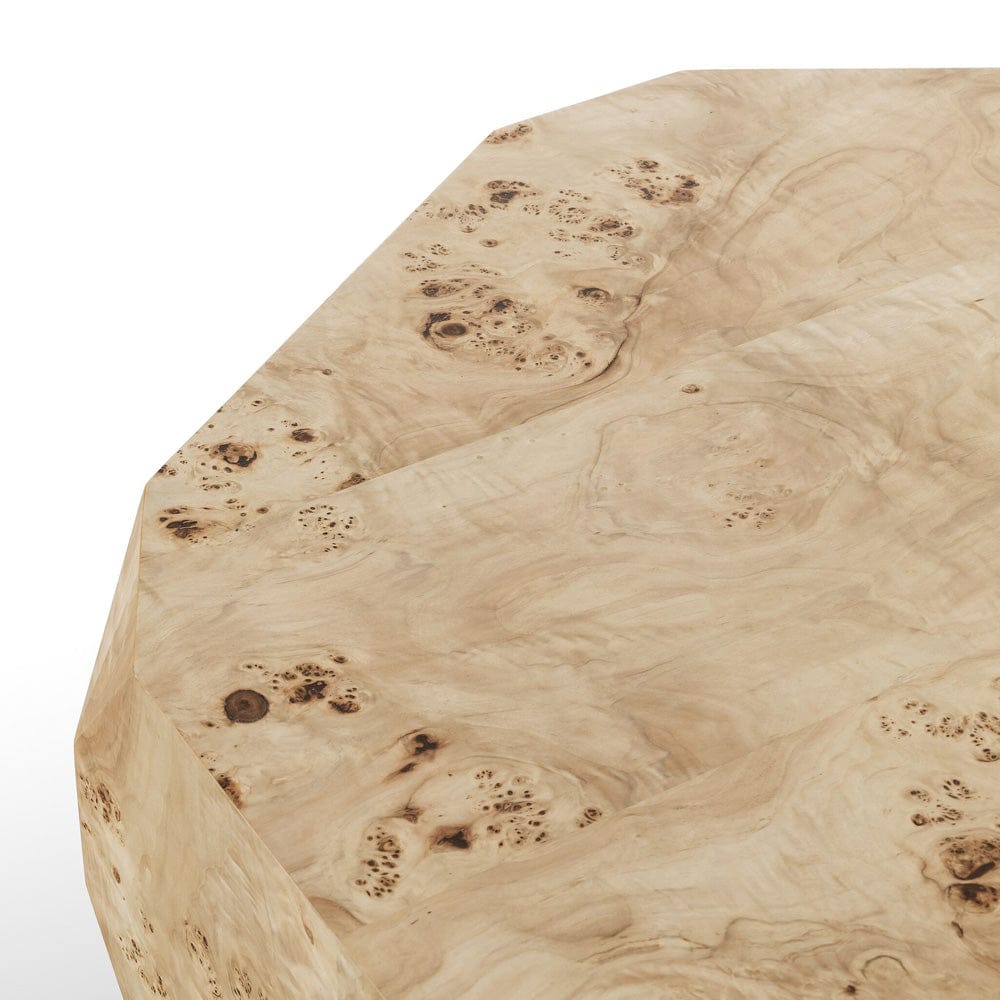Four Hands - Elena Coffee Table - Light Burl - 246768-001 view 9