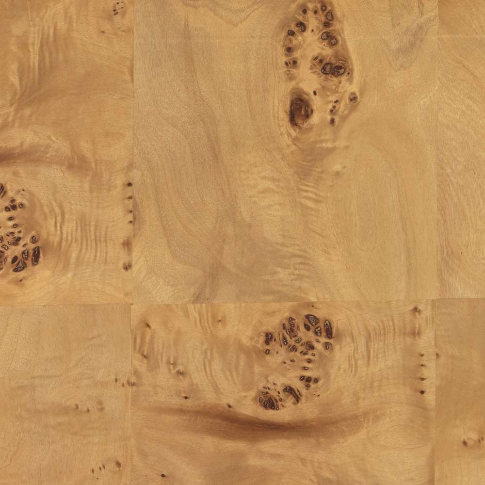 Four Hands - Jenson End Table - Natural Poplar Burl Veneer - 228910-002 veiw 5