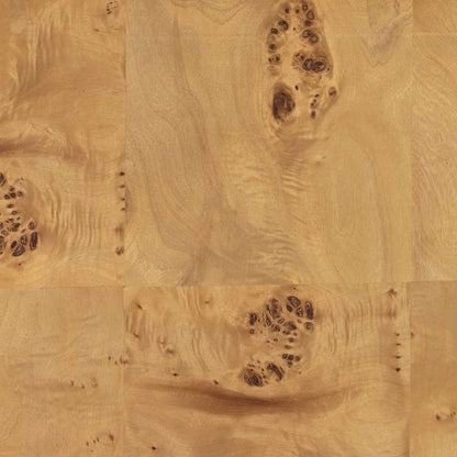 Four Hands - Jenson End Table - Natural Poplar Burl Veneer - 228910-002 veiw 5