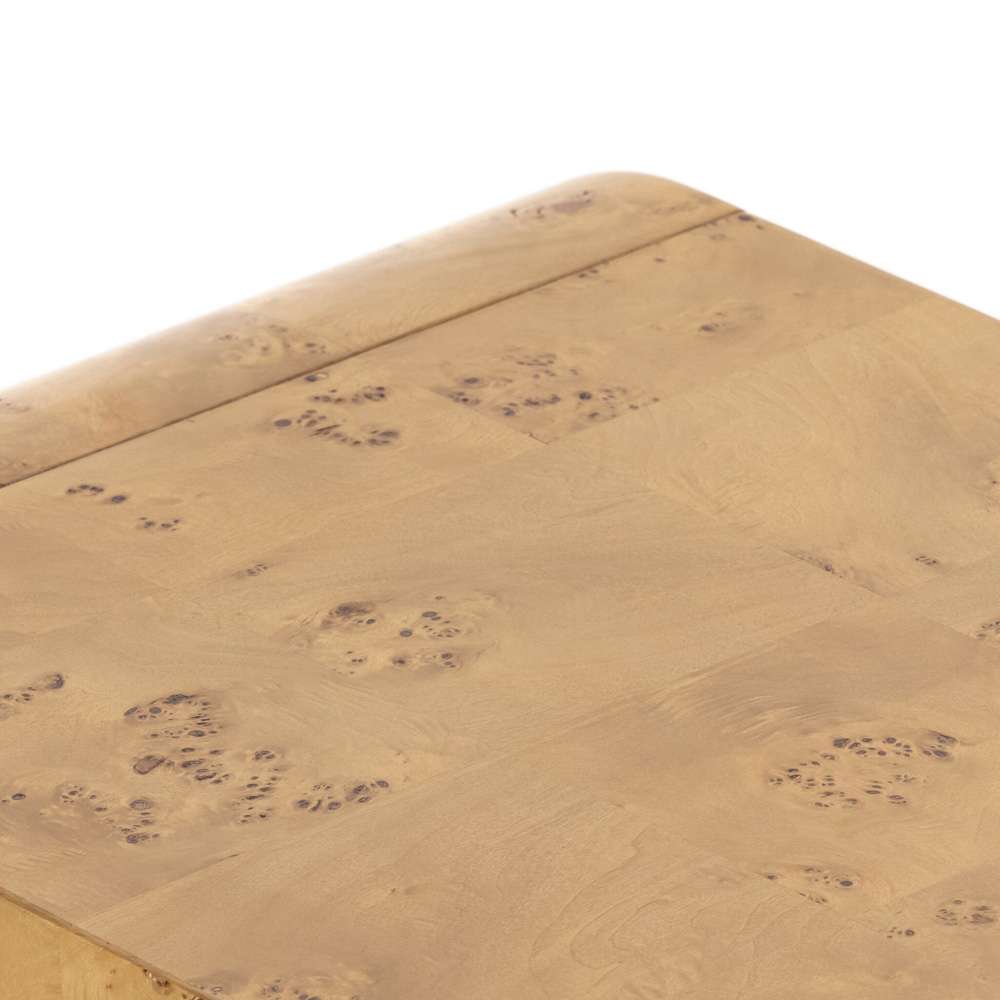 Four Hands - Jenson Media Console - Natural Poplar Burl Veneer - 228921-002 veiw 11