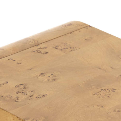 Four Hands - Jenson Media Console - Natural Poplar Burl Veneer - 228921-002 veiw 11