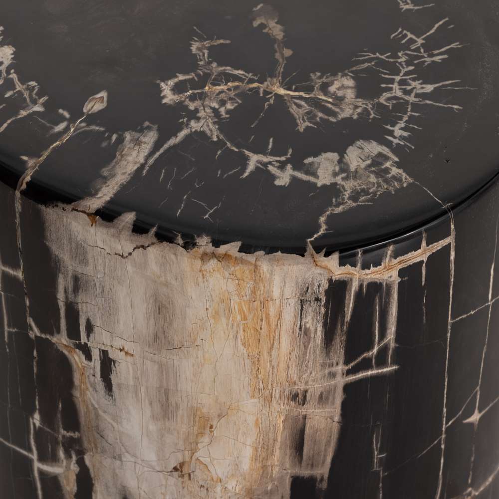 Four Hands - Kos End Table - Dark Petrified Wood - 227729-001 veiw 4