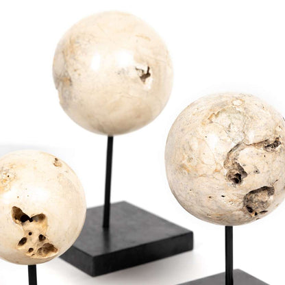 Four Hands - Organic Stone Sculptures (Set of 3) - 227719-001 veiw 4