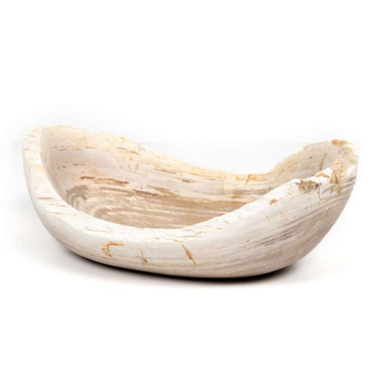 Four Hands - Oval Petrified Wood Bowl - Petrified Wood - 227714-001 veiw 1
