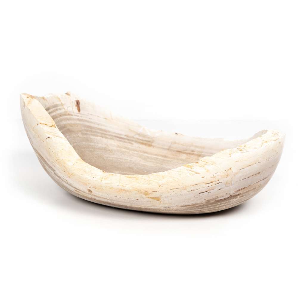Four Hands - Oval Petrified Wood Bowl - Petrified Wood - 227714-001 veiw 2