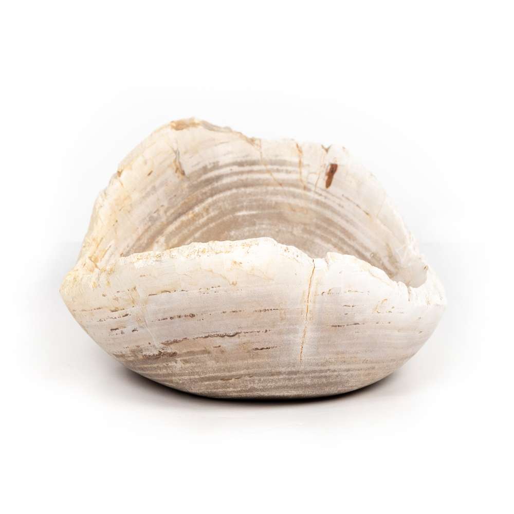 Four Hands - Oval Petrified Wood Bowl - Petrified Wood - 227714-001 veiw 3