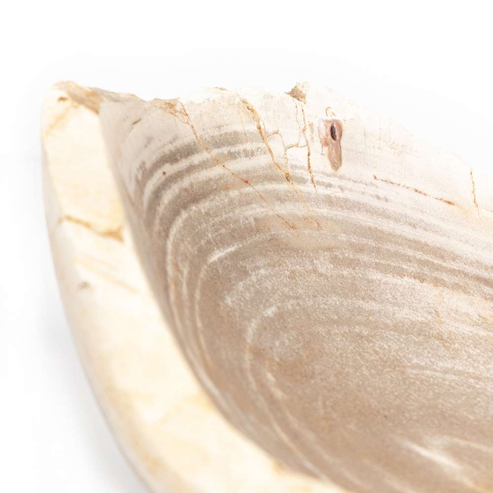 Four Hands - Oval Petrified Wood Bowl - Petrified Wood - 227714-001 veiw 4