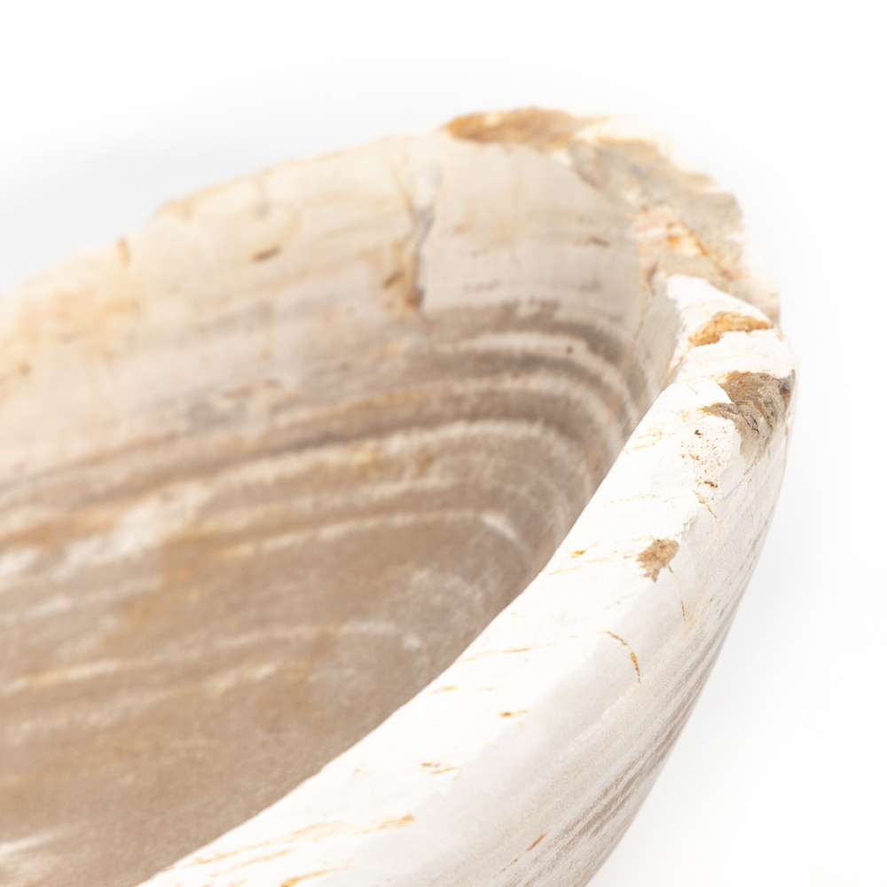 Four Hands - Oval Petrified Wood Bowl - Petrified Wood - 227714-001 veiw 5