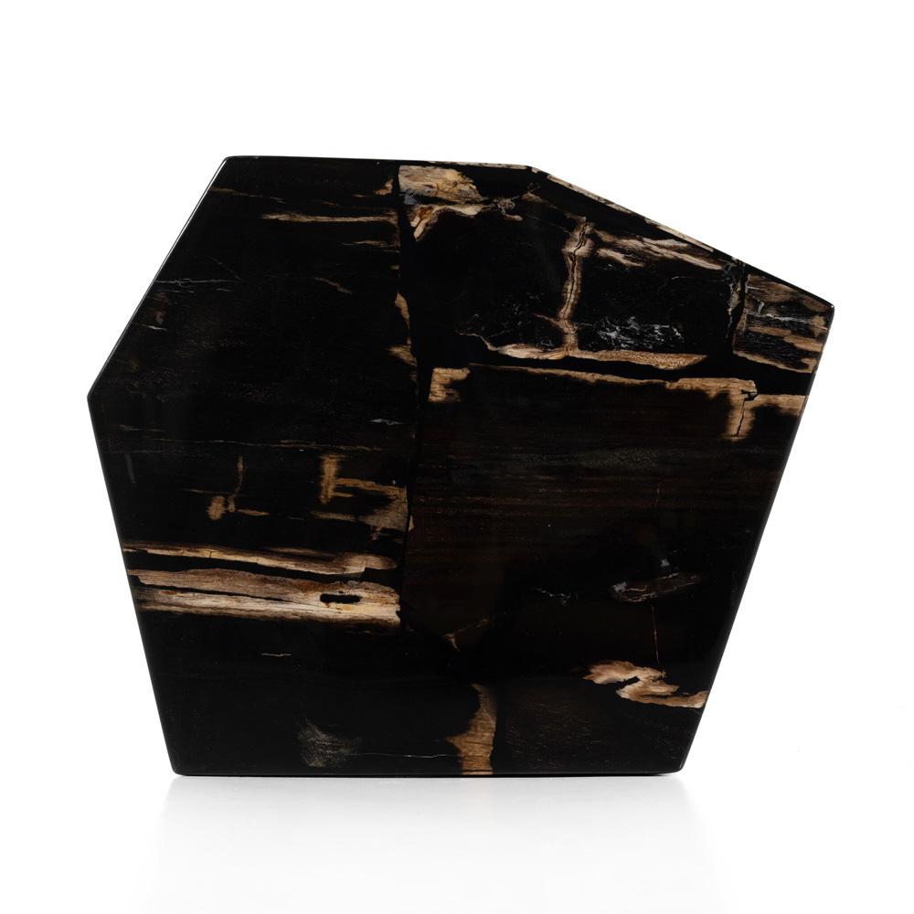 Four Hands - Palu - Shep End Table - Dark Petrified Wood - 226806-001 veiw 5