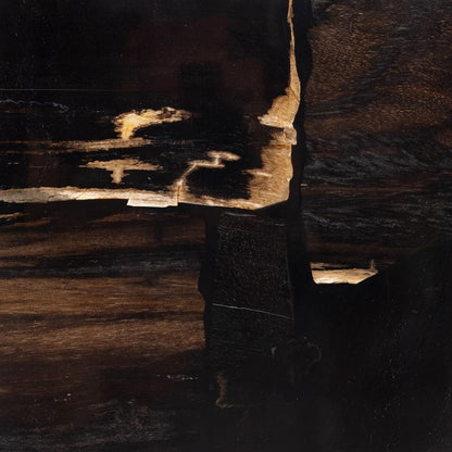 Four Hands - Palu - Shep End Table - Dark Petrified Wood - 226806-001 veiw 6