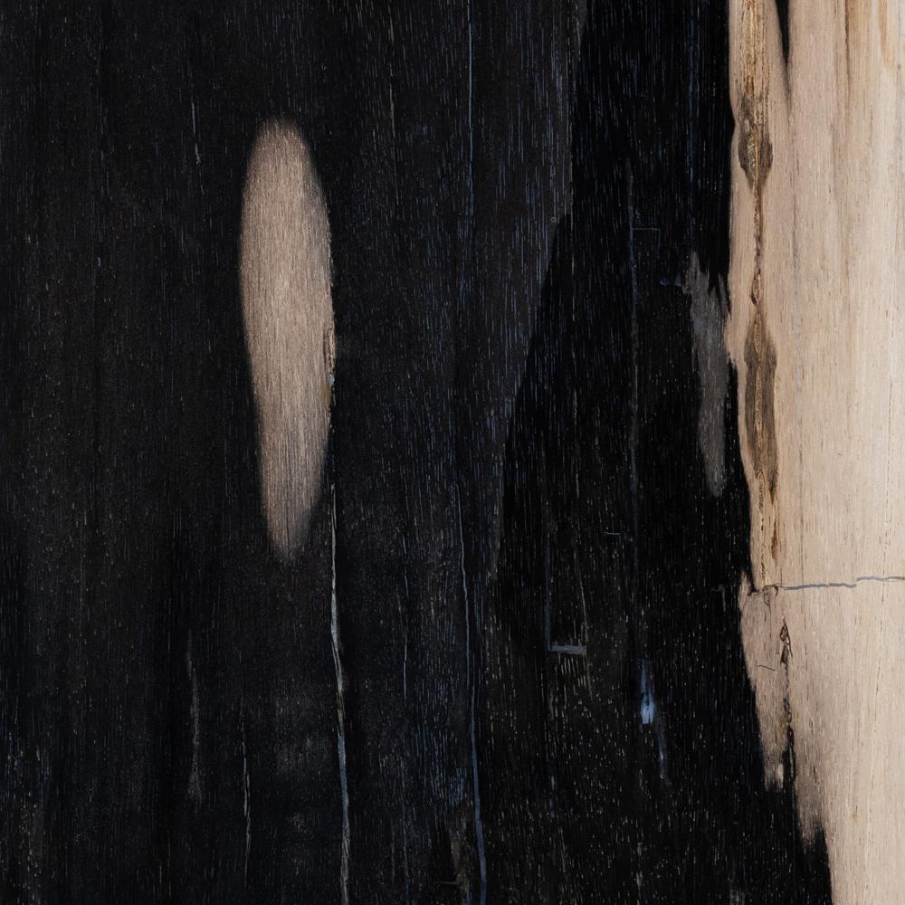 Four Hands - Palu - Tig End Table - Dark Petrified Wood - 227723-001 veiw 4