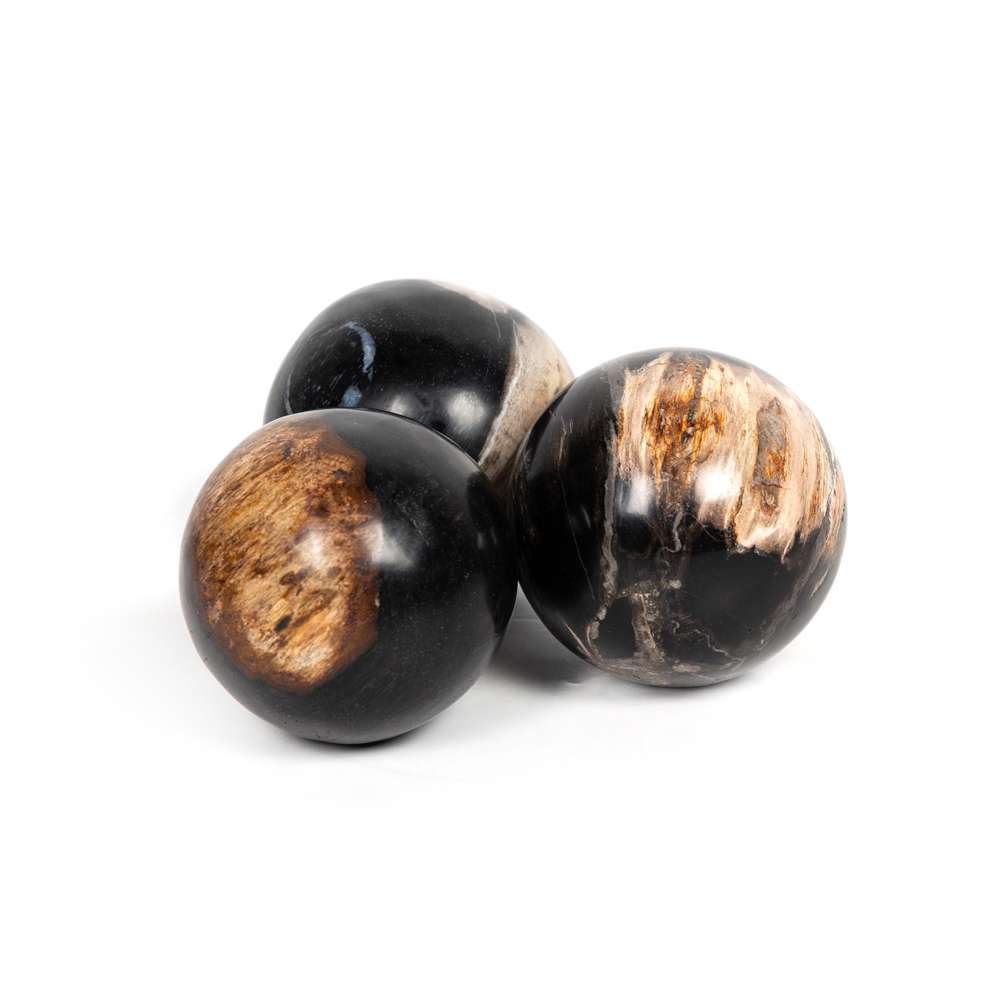 Four Hands - Petrified Wood Balls, Set 3 - Dark - 227718-001 veiw 1