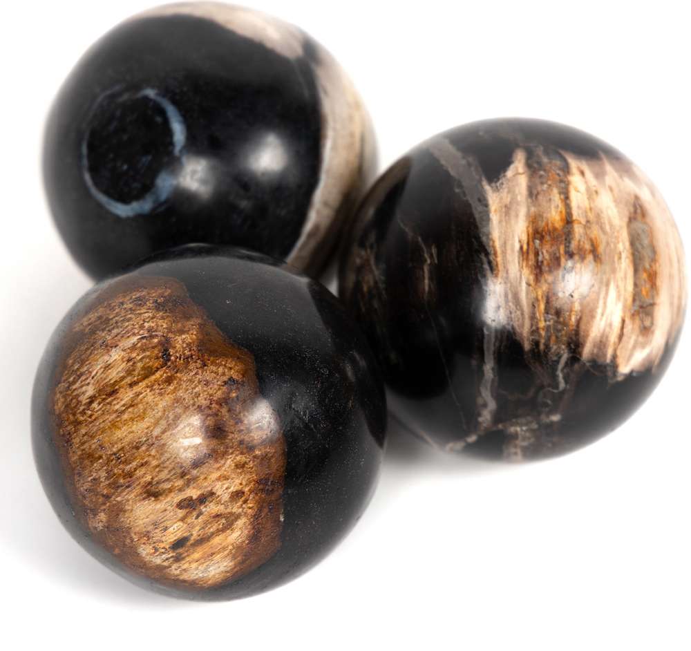 Four Hands - Petrified Wood Balls, Set 3 - Dark - 227718-001 veiw 2