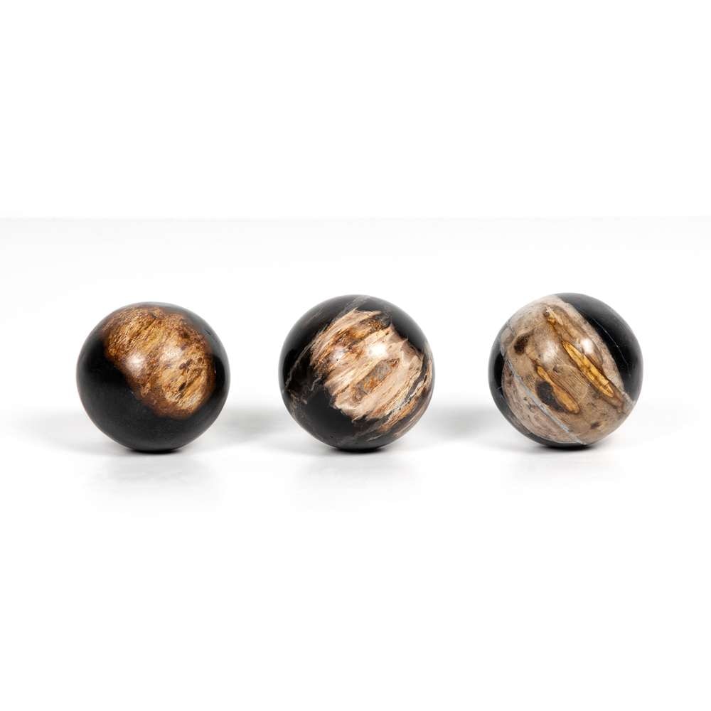 Four Hands - Petrified Wood Balls, Set 3 - Dark - 227718-001 veiw 4