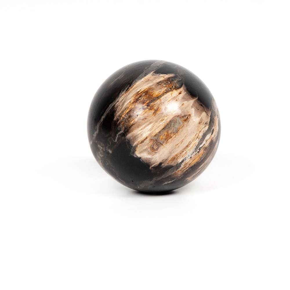Four Hands - Petrified Wood Balls, Set 3 - Dark - 227718-001 veiw 5