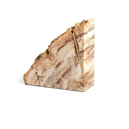 Four Hands - Petrified Wood Book Ends - Light - 229858-001 veiw 2