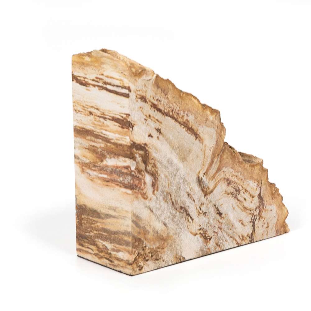 Four Hands - Petrified Wood Book Ends - Light - 229858-001 veiw 3